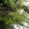 dsc02257