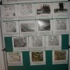 DSC00024