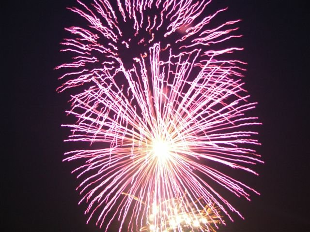 DSCN0987