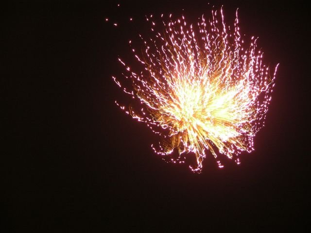 DSCN1003