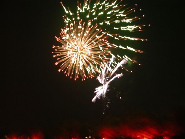DSCN1031