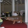 DSCN0883