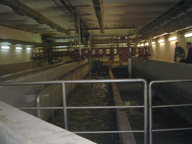 DSC00023