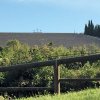 img_3934