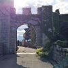 img_3970
