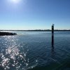 img_4003
