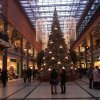 img_0705