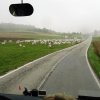dsc00575