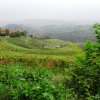 dsc00761