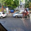 dsc01138