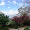 dsc01161