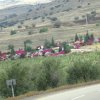 dsc01163