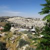 dsc01461