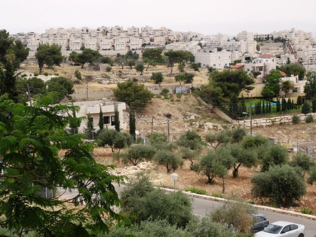 dsc01510