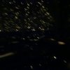 dsc01500