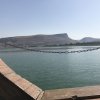 img_5923