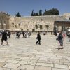 img_6239