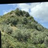 img_5357
