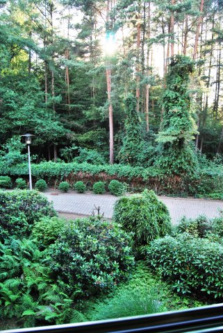 dsc_8390