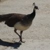 dsc02095