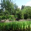 dsc02736