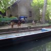 dsc02754