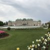 img_5054