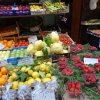 dsc00503