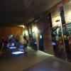dsc00332