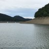 img_6784