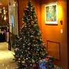 Weihnachts- u. Silvestertour