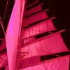 Royal Clipper