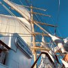 Royal Clipper