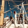 Royal Clipper