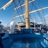 Royal Clipper