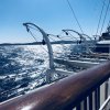 Royal Clipper
