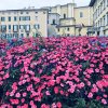 img_2744
