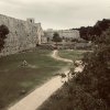 rHODOS