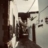 rHODOS