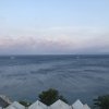 img_7135