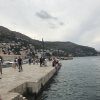 img_7236
