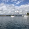 img_7288