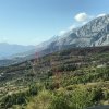 img_7406