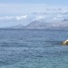 img_7568