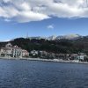 img_7905