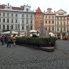 img_8163