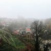 img_8329