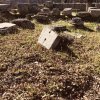 Athen und Peloponnes