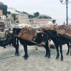 Athen und Peloponnes