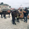 Athen und Peloponnes